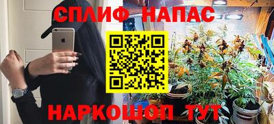 spice Новодвинск