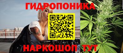 spice Новодвинск
