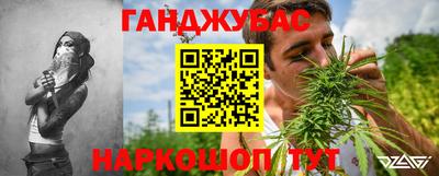сатива Новокубанск
