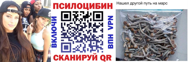 Псилоцибиновые грибы Cubensis  blacksprut маркетплейс  Топки 