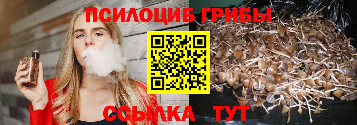 Псилоцибиновые грибы GOLDEN TEACHER Топки
