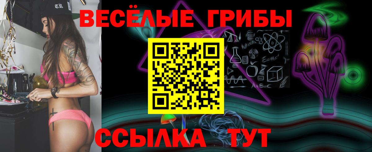 Топки  Псилоцибиновые грибы Magic Shrooms  Вход с VPN 