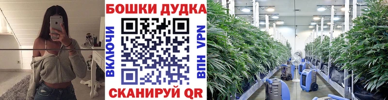 купить наркоту  Топки  Канабис марихуана 